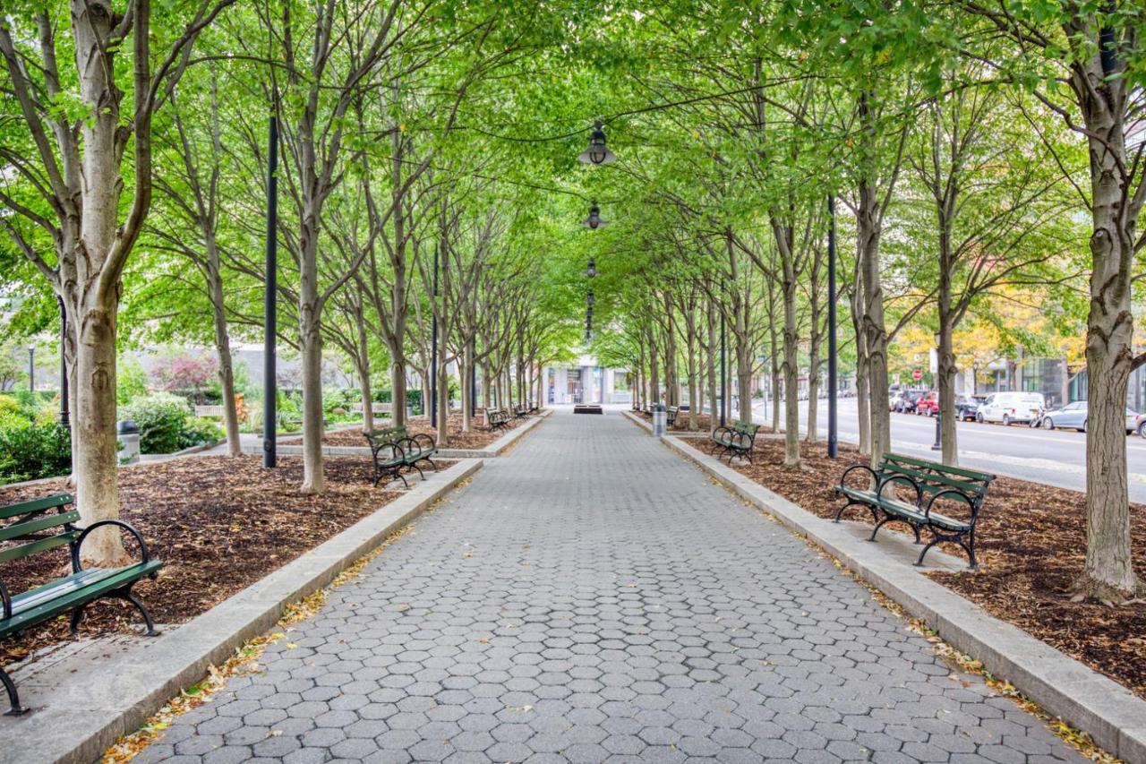 Fidi 1br W Doorman Gym Nr Street Nyc-1342 Appartamento